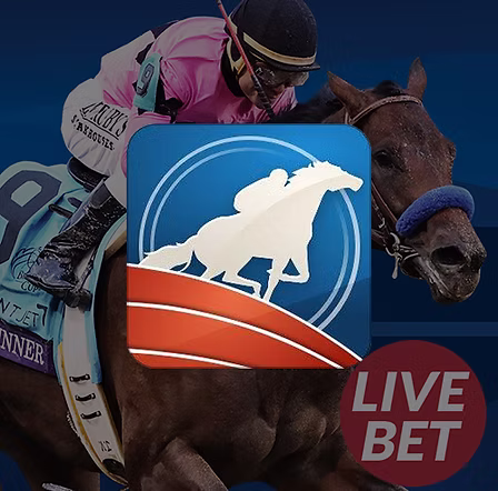 RCB988 by AiPlay: Your Premier Horse Racing Betting Platform