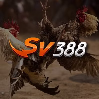 SV388 by AiPlay: Malaysia’s Premier Cockfight Betting Platform